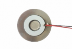 霧化片 JHIC25NH003-P